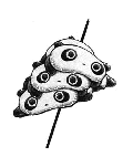 panda14.gif (4298 bytes)