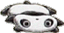panda17.gif (2926 bytes)