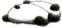 panda171.gif (4010 bytes)