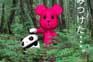 pinknokumas.jpg (2540 bytes)